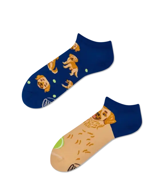 Golden Boy Low